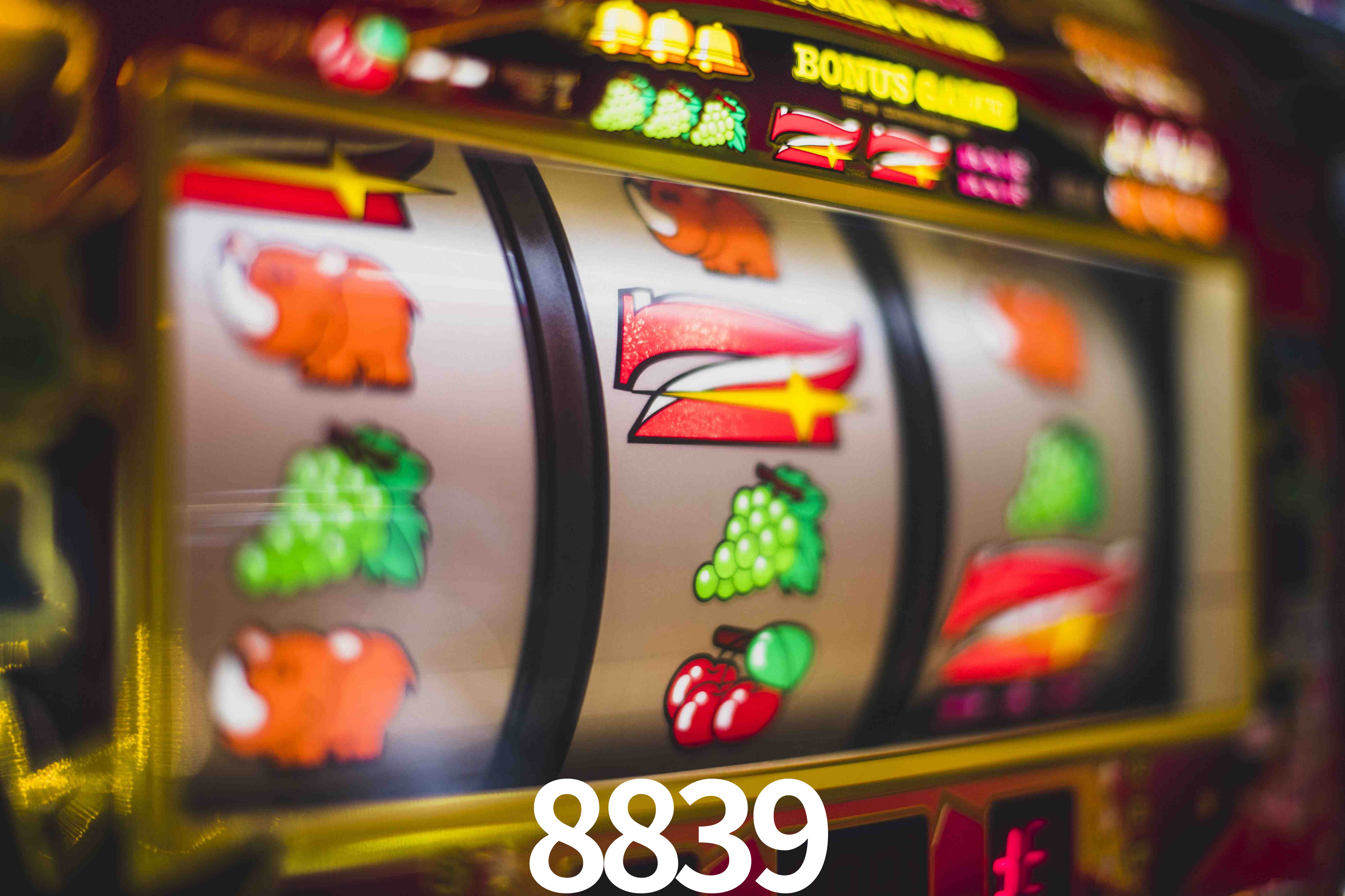 Basketball Betting 8839